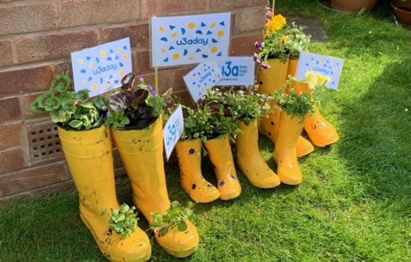 u3a day is here